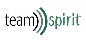 teamspirit Logo